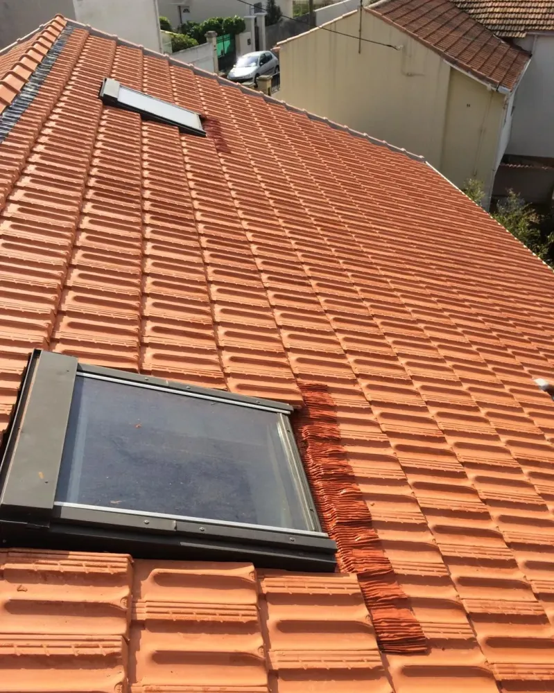 velux (1)